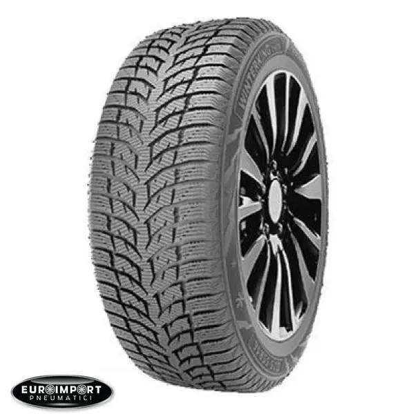 Double star WINTERKING DW08  195/55 R16 87 H   TL